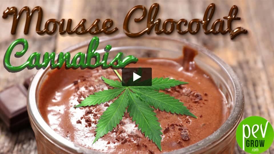 Vidéo: Mousse chocolat infusée au cannabis