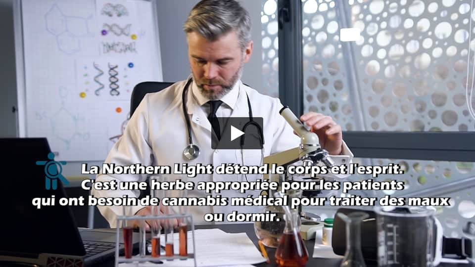 Vidéo: Northern Lights PEV Seeds