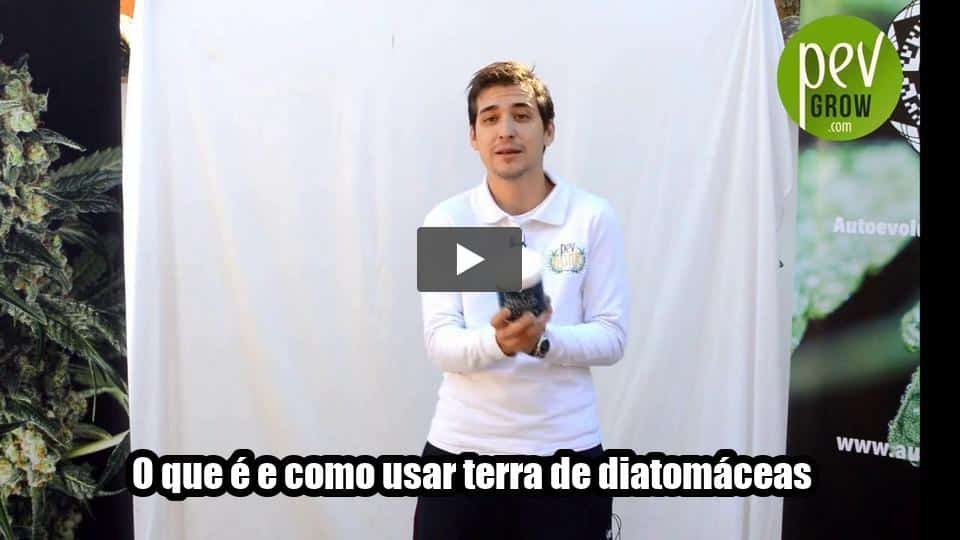 Vídeo: O que é e como usar terra de diatomáceas