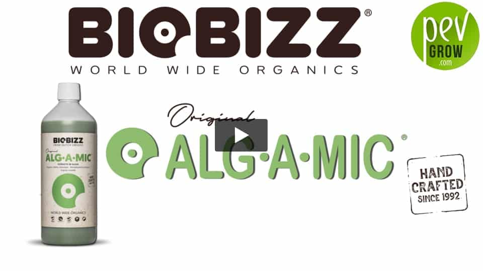 Vidéo: Présentation ALG-A-MIC de chez BIOBIZZ