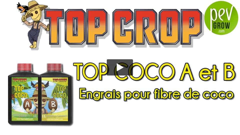 Vidéo: Présentation de l´engrais Coco A et Coco B de TOP CROP