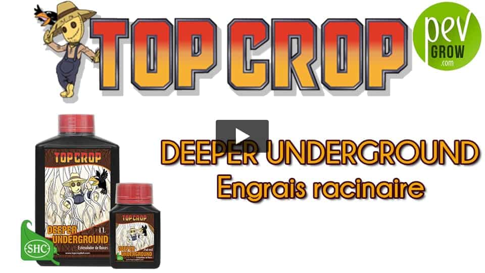 Vidéo: Présentation de l´engrais DEEPER UNDERGROUND de TOP CROP