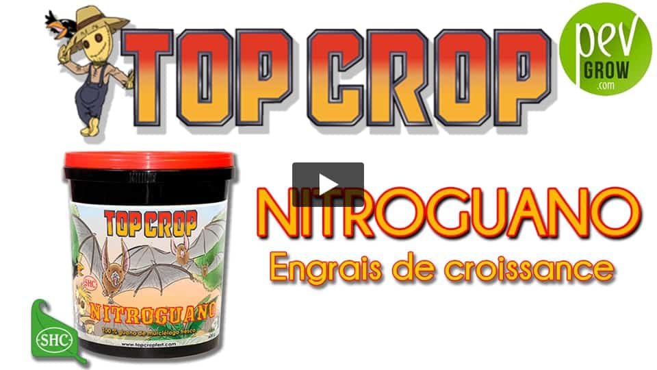 Vidéo: Présentation de l´engrais NITROGUANO de TOP CROP