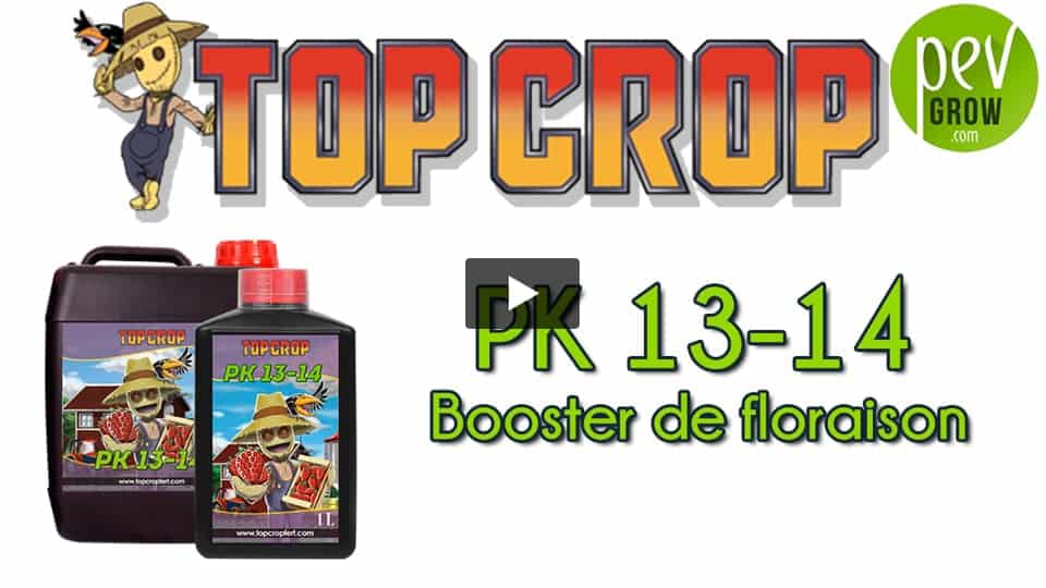 Vidéo: Présentation de l´engrais PK 13/14 de TOP CROP