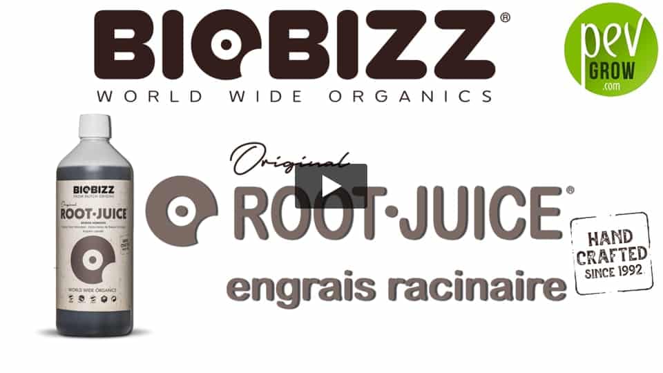 Vidéo: Présentation de l´engrais ROOT JUICE de BIOBIZZ