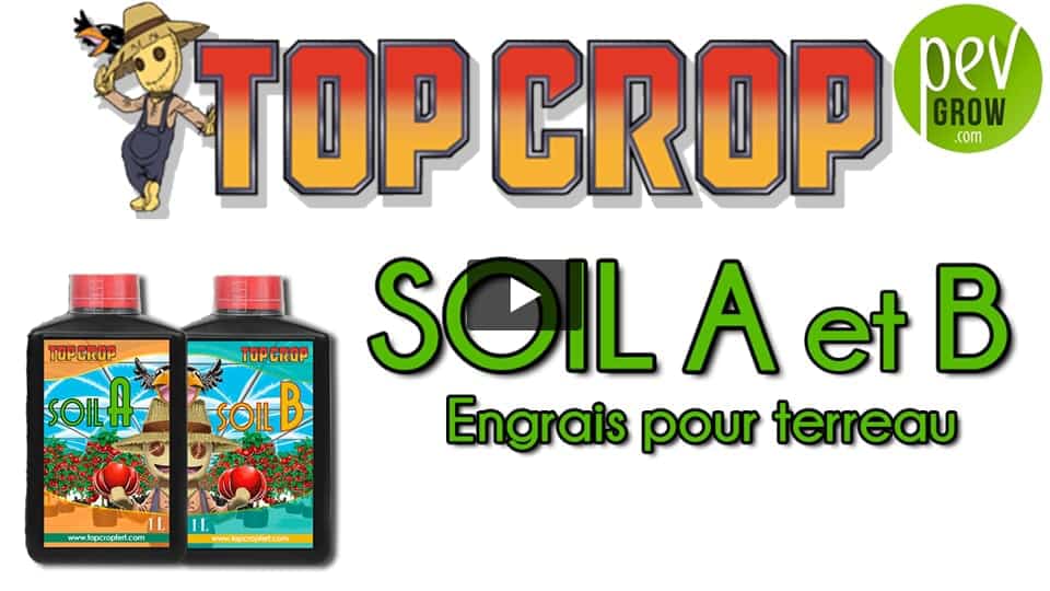 Vidéo: Présentation de l´engrais SOIL A et SOIL B de TOP CROP