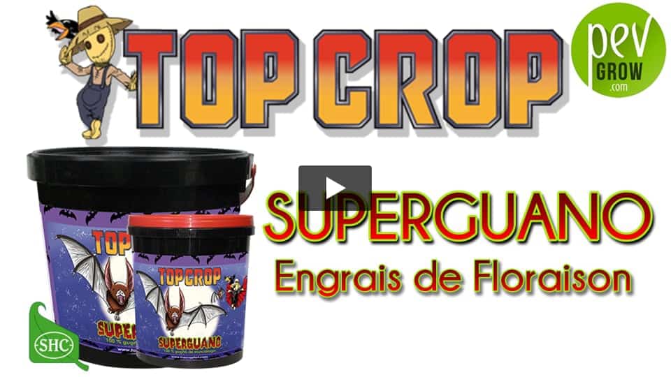 Vidéo: Présentation de l´engrais SUPERGUANO de TOP CROP