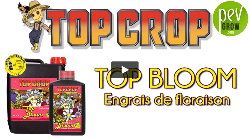 Vidéo: Présentation de l´engrais TOP BLOOM de TOP CROP