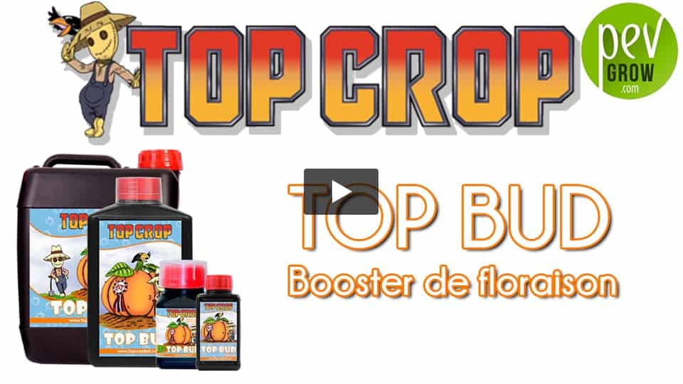 Vidéo: Présentation de l´engrais TOP BUD de TOP CROP