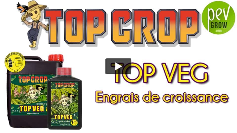 Vidéo: Présentation de l´engrais TOP VEG de Top Crop