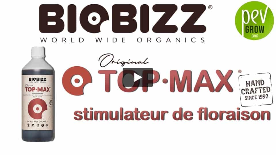 Vidéo: Présentation du stimulant Top Max de chez Biobizz