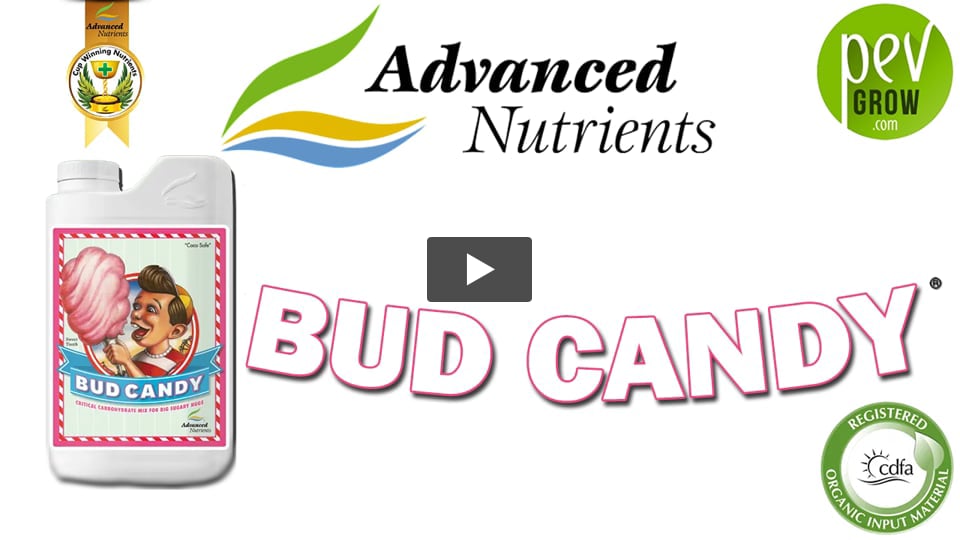 Vidéo: Présentation engrais Bud Candy de chez Advanced Nutrient