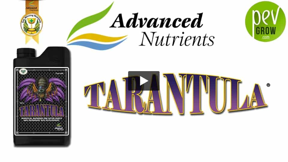 Vidéo: Présentation Stimulant Tarantula de chez Advanced Nutrient