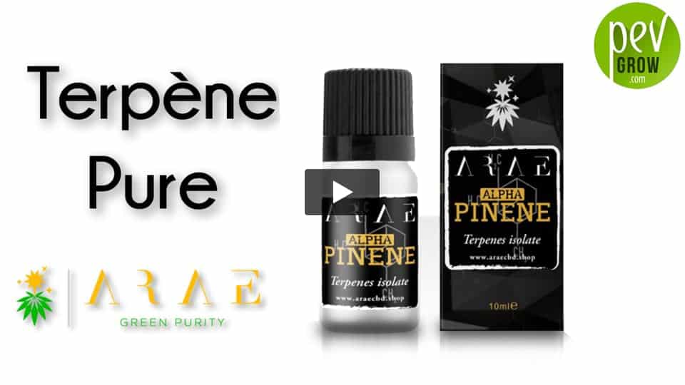 Vidéo: Présentation terpène Alpha Pinène de ARAE