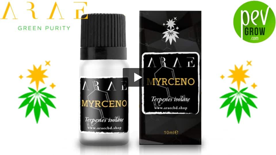 Vidéo: Présentation terpène Myrcène de ARAE