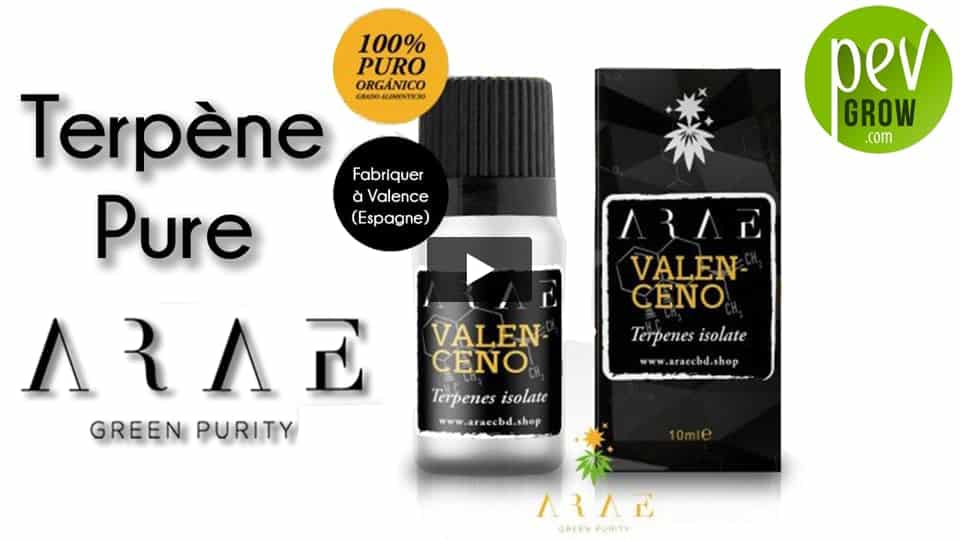 Vidéo: Presentation terpène Valencène