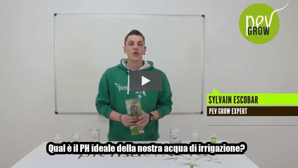 Video: Qual è il PH ideale della nostra acqua di irrigazione?