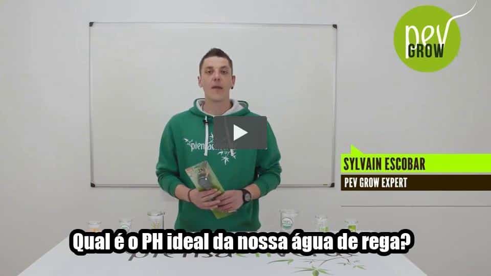 Vídeo: Qual é o PH ideal da nossa água de rega?