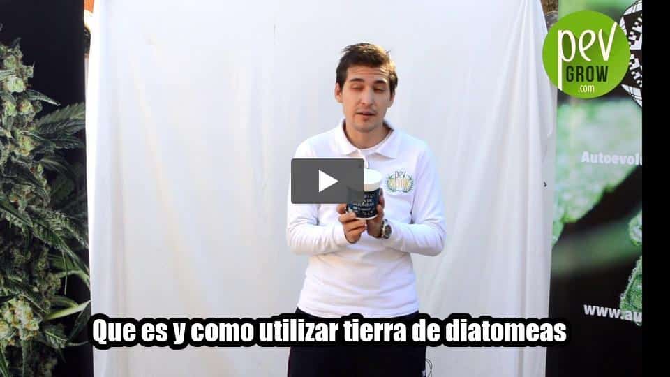 Vídeo: Que es y como utilizar tierra de diatomeas