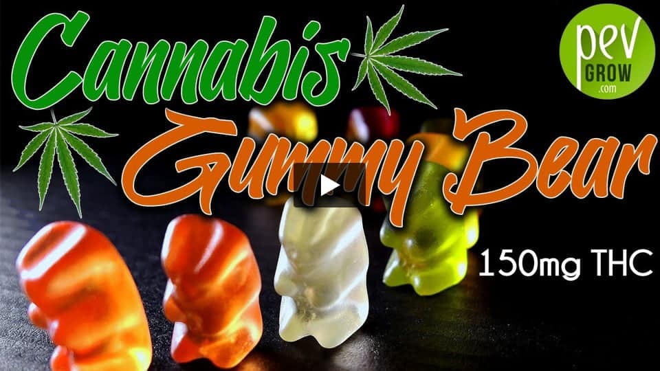 Vidéo: Recette des fameux bonbons Gummy Bear au THC