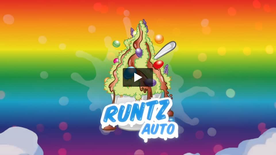 Vidéo: Runtz Auto PEV Seeds