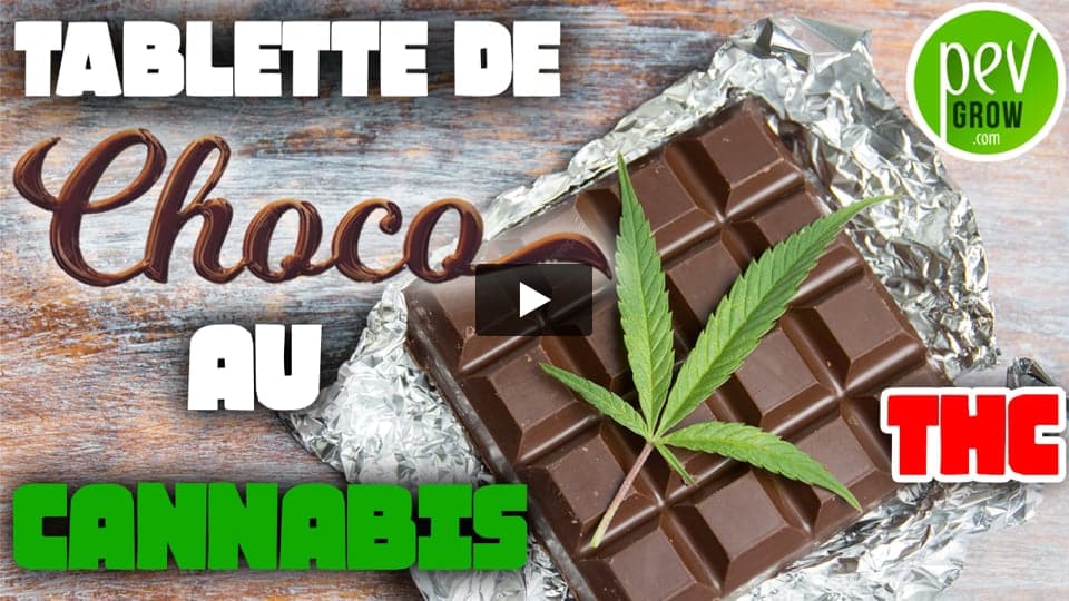 Vidéo: Tablette de chocolat au Cannabis