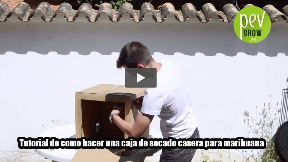 Vídeo: Tutorial de como hacer una caja de secado casera para marihuana