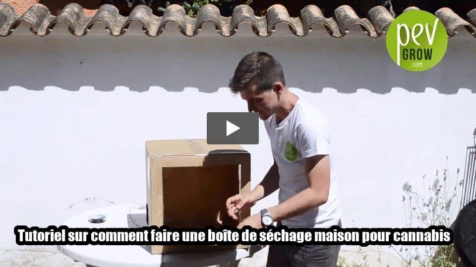 Vidéo: Tutoriel sur comment faire une boîte de séchage maison pour cannabis