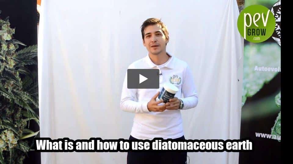 Video: What is and how to use diatomaceous earth