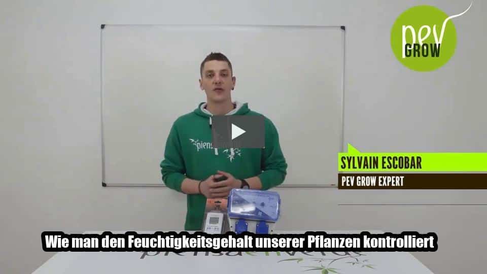 Video: Wie man den Feuchtigkeitsgehalt unserer Pflanzen kontrolliert