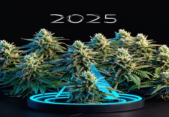 Le 20 varietà di cannabis più popolari nel 2025