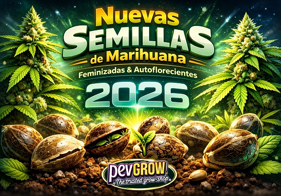Nuevas Semillas de Marihuana en Pevgrow: Novedades para cultivar este 2026 en Semillas Feminizadas y Autos