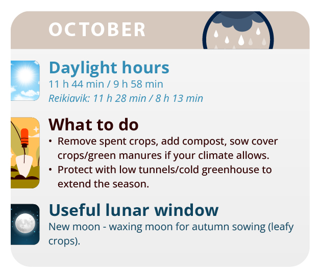 Rains are plentiful, so you have to watch out for the rotting of the flowers. Rains are plentiful, so you have to watch out for the rotting of the flowers.