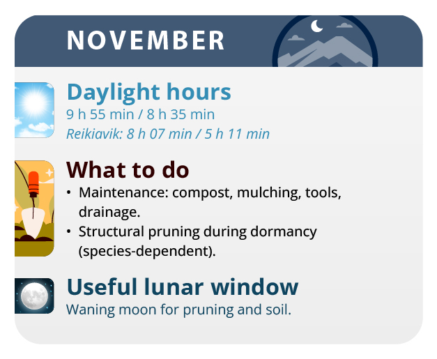 Rains are plentiful, so you have to watch out for the rotting of the flowers. Rains are plentiful, so you have to watch out for the rotting of the flowers.