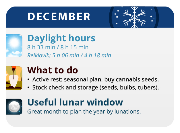 Here, we have the result of our labor, our beautiful girls. Here, we have the result of our labor, our beautiful girls.