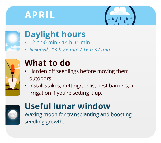 How to make marijuana cuttings. Image source: Buddha Genetics How to make marijuana cuttings. Image source: Buddha Genetics