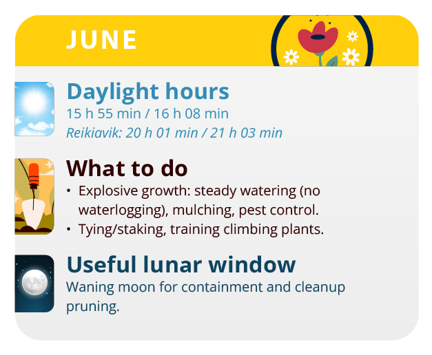 Plants grown outdoors will develop strongly this month Plants grown outdoors will develop strongly this month