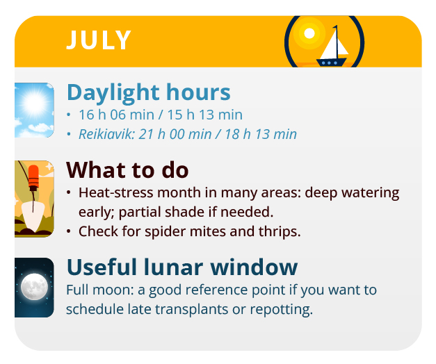two months after germination is when marijuana shows its sexual character. two months after germination is when marijuana shows its sexual character.