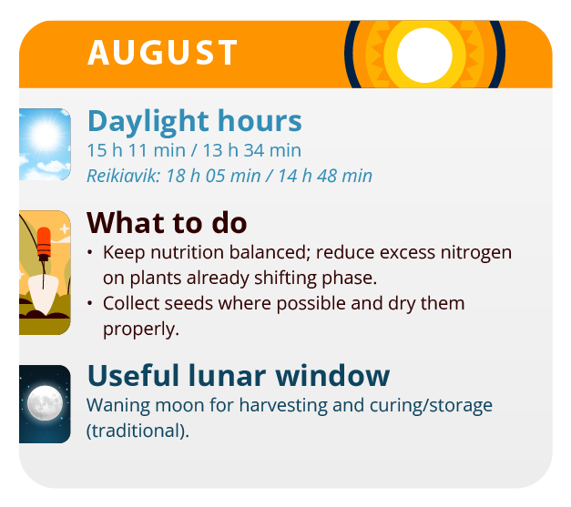 Here, we have the result of our labor, our beautiful girls. Here, we have the result of our labor, our beautiful girls.