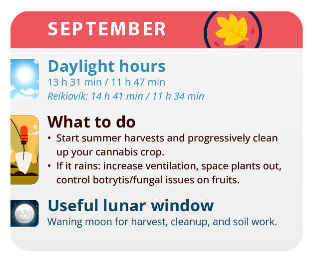 Here, we have the result of our labor, our beautiful girls. Here, we have the result of our labor, our beautiful girls.