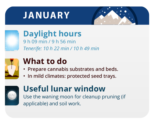 Prepare the soil and fertilize it with earthworm humus Prepare the soil and fertilize it with earthworm humus