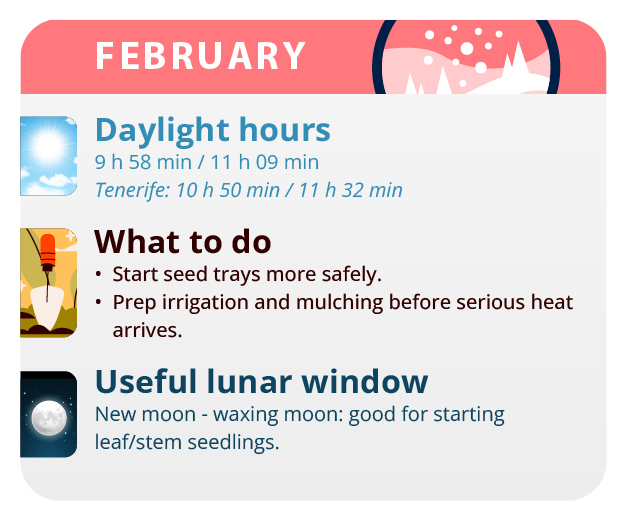 Here, we have the result of our labor, our beautiful girls. Here, we have the result of our labor, our beautiful girls.