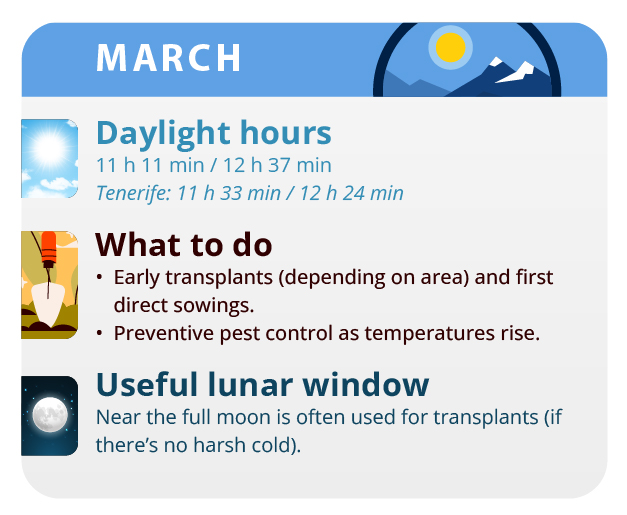 This month you can start making the first cuttings This month you can start making the first cuttings