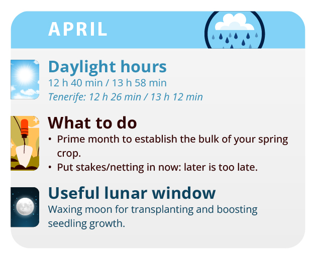 It is convenient to put the plants in at night so that they do not freeze. It is convenient to put the plants in at night so that they do not freeze.