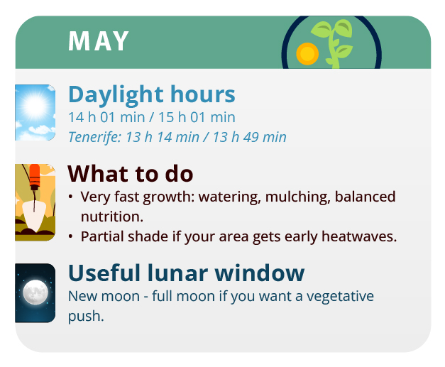 A good month to grow autoflowering varieties A good month to grow autoflowering varieties