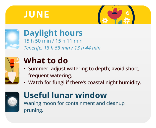 Your plants increase their height considerably during this month Your plants increase their height considerably during this month