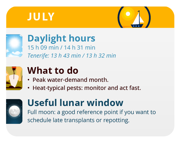 two months after germination is when marijuana shows its sexual character. two months after germination is when marijuana shows its sexual character.
