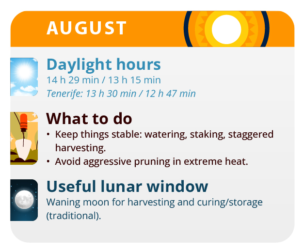 Maturation Trichomes Maturation Trichomes