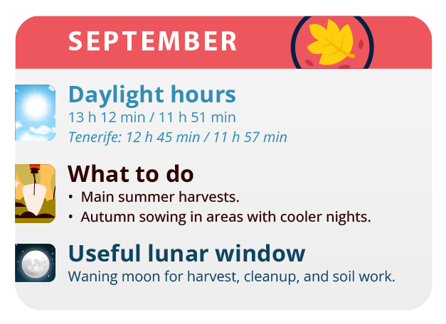 Here, we have the result of our labor, our beautiful girls. Here, we have the result of our labor, our beautiful girls.