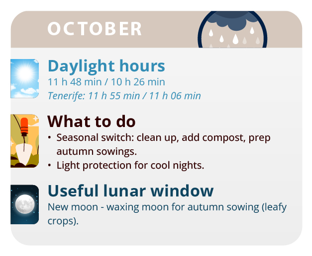 the rotting of the buds the rotting of the buds